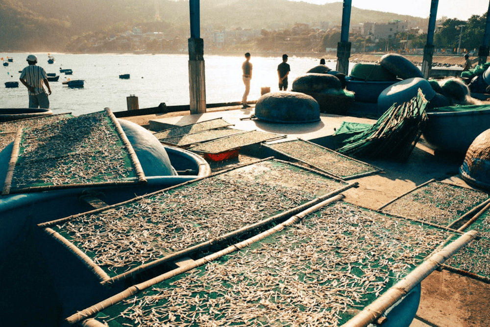 Visiting Nhon Ly fishing village gives travelers the opportunity to gain deeper insight into the daily life of local fishermen (Source: Pexels)